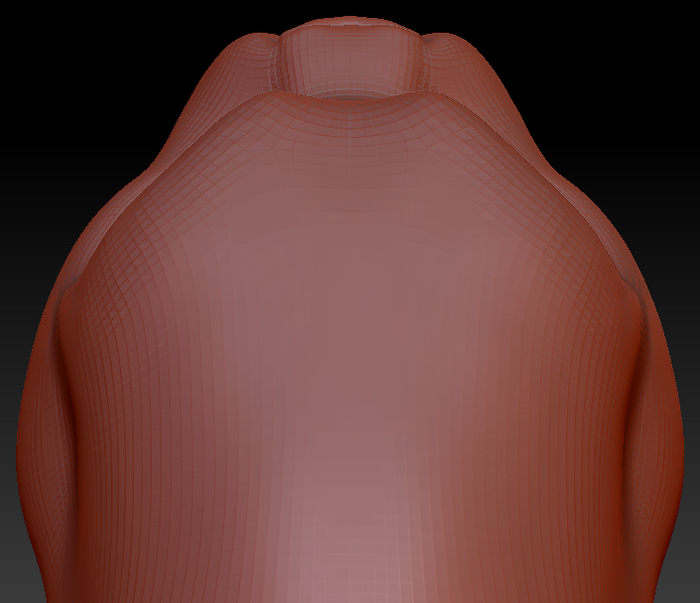 Feminine Persian Cat Head Base