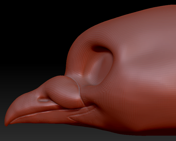 Feminine Pigeon Head Base