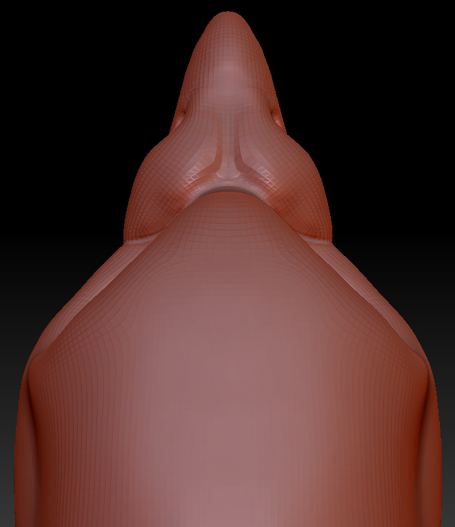 Feminine Pigeon Head Base