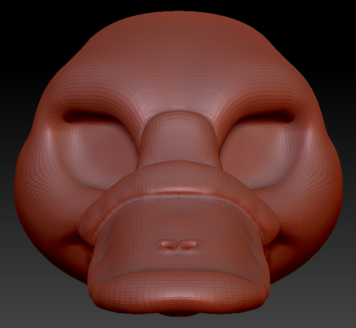 Feminine Platypus Head Base