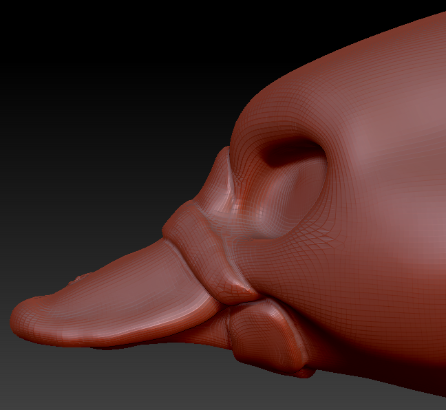 Feminine Platypus Head Base