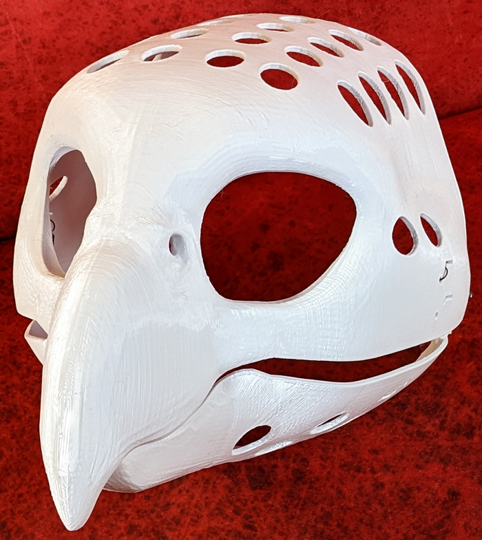 Feminine Quaker Parrot Head Base