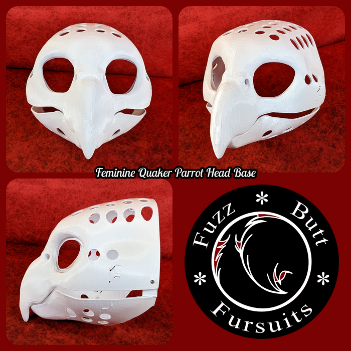 Feminine Quaker Parrot Head Base