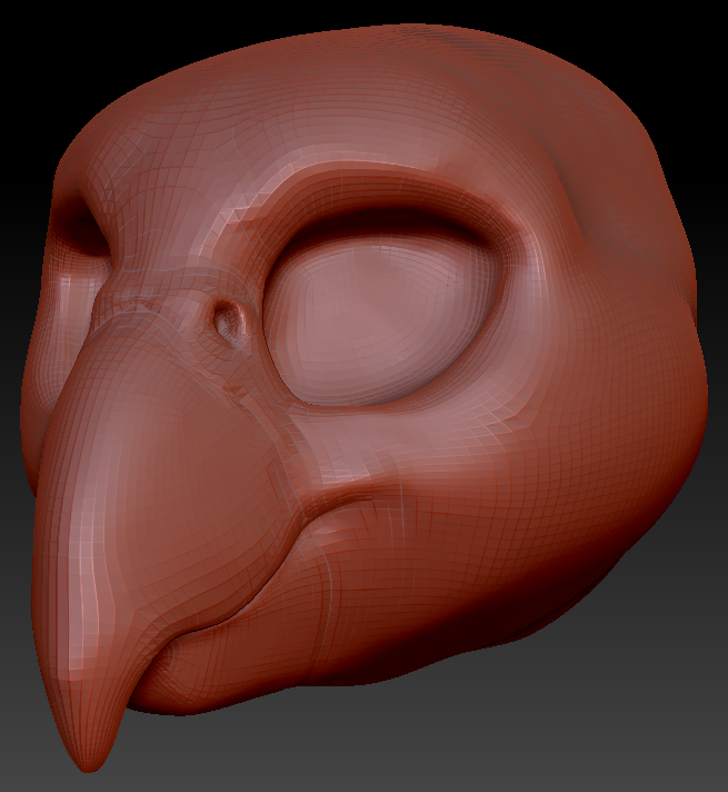Feminine Quaker Parrot Head Base