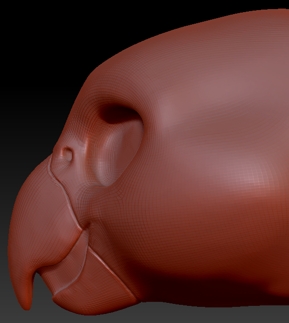 Feminine Quaker Parrot Static Jaw Head Base