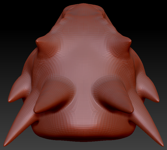 Feminine Texas Horned Lizard Head Base