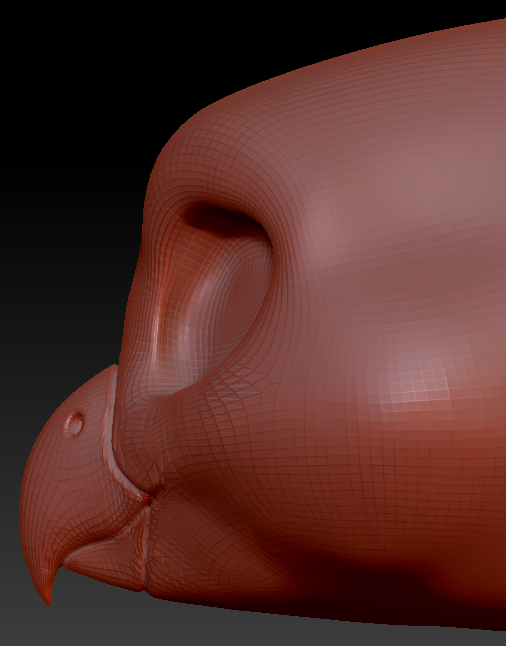 Feminine Toony Bird Head Base Variant 1