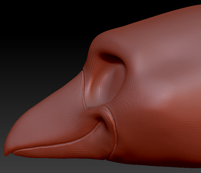 Feminine Toony Bird Head Base Variant 5