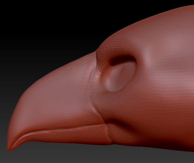Feminine Toucan Head Base