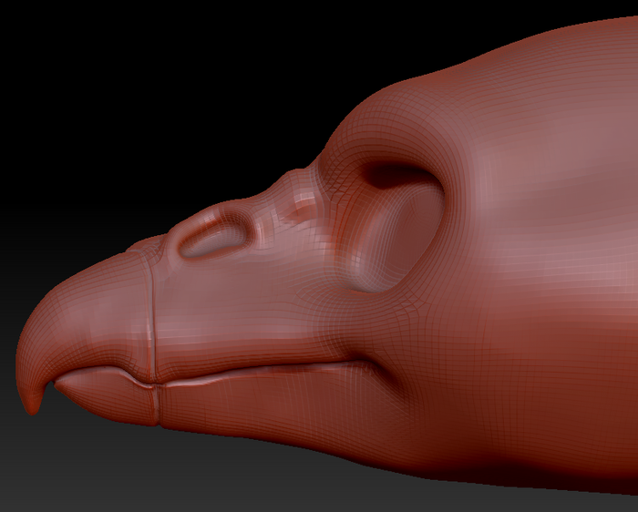 Feminine Turkey Vulture Head Base