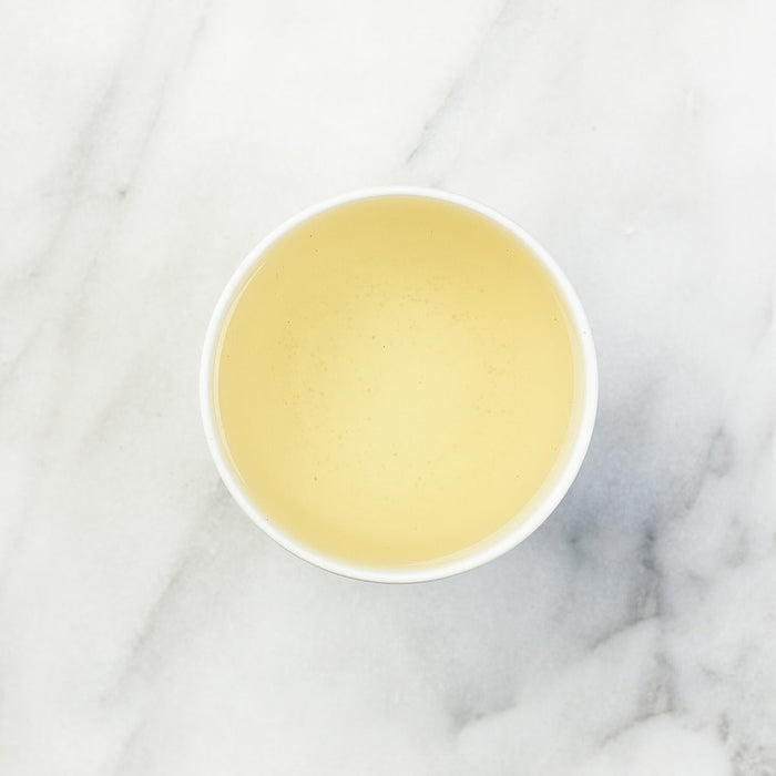 Fez Moroccan Mint Green Tea