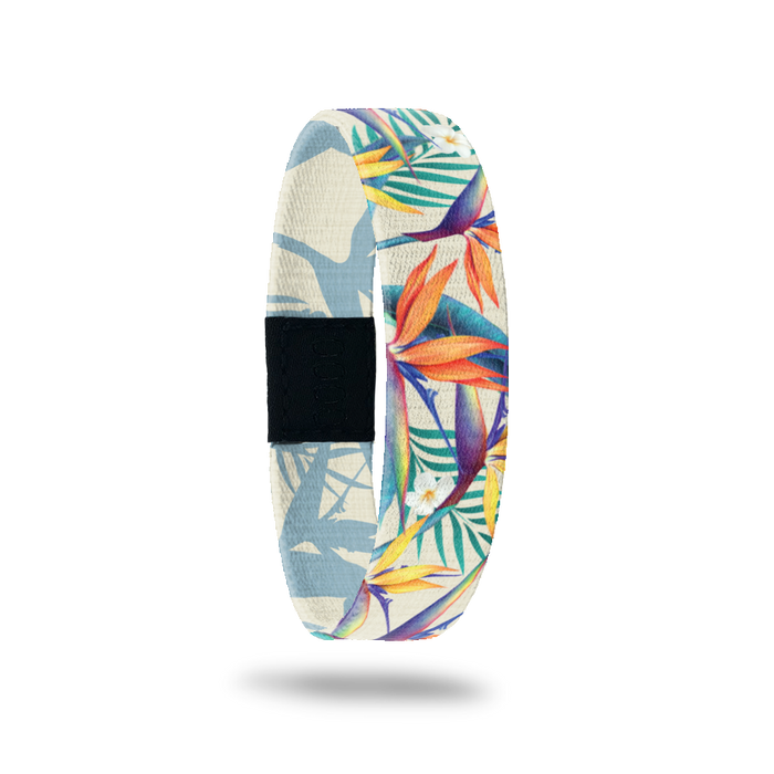 Free From ______-Sold Out - Singles-ZOX - This item is sold out and will not be restocked.