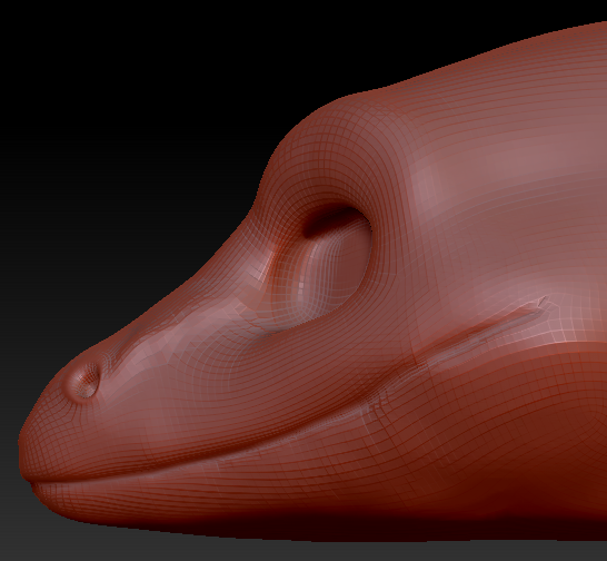 Gender Neutral Anole Lizard Head Base