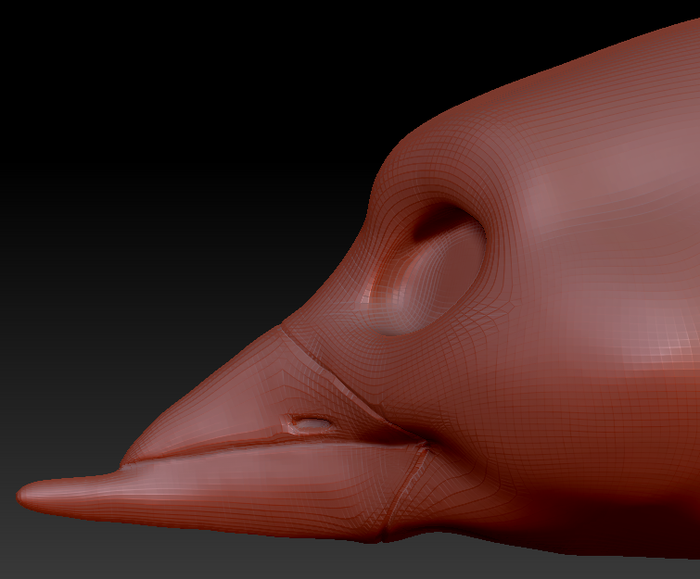 Gender Neutral Black Skimmer Head Base