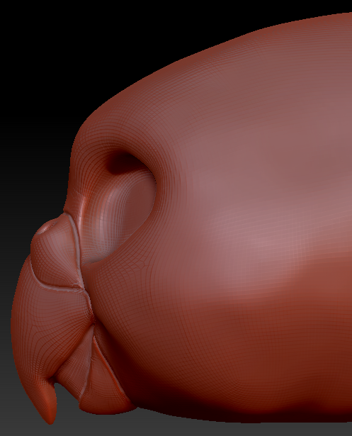 Gender Neutral Budgie Static Jaw Head Base