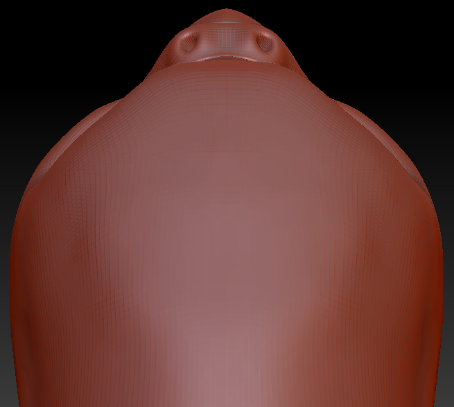 Gender Neutral Budgie Static Jaw Head Base