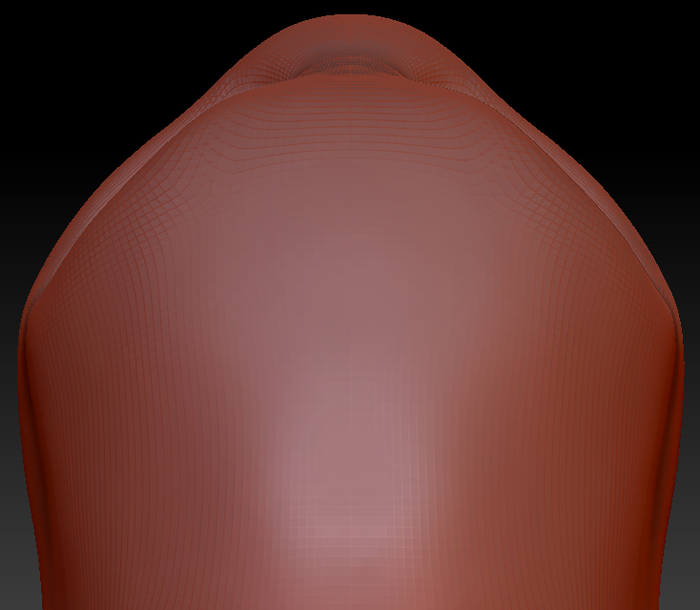 Gender Neutral Bug Head Base