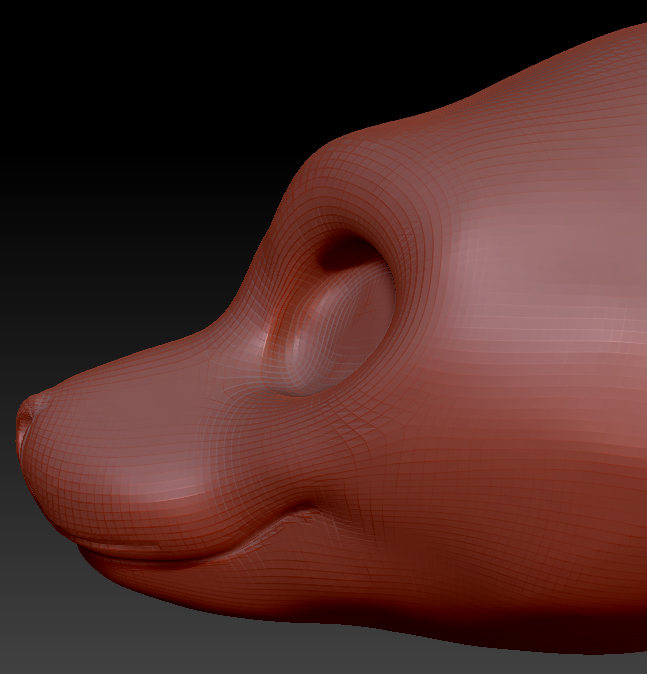 Gender Neutral California Sea Lion Head Base