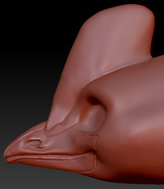 Gender Neutral Cassowary Head Base