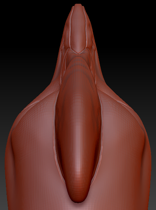Gender Neutral Cassowary Head Base