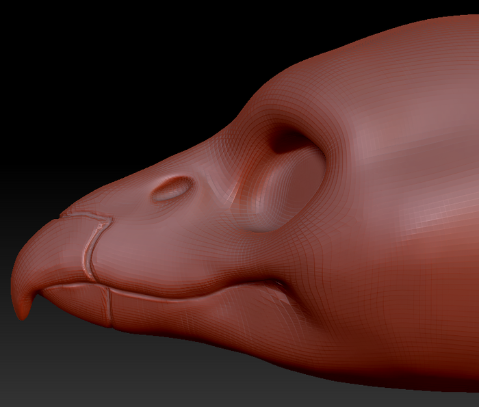 Gender Neutral Condor Head Base