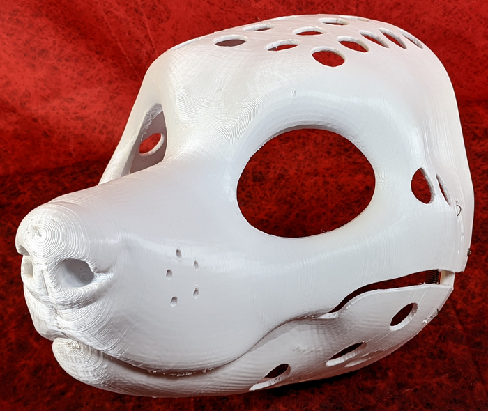 Gender Neutral Corgi Head Base