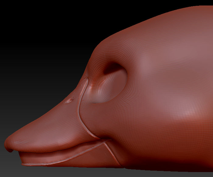 Gender Neutral Duck Static Jaw Head Base
