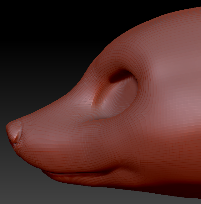 Gender Neutral European Badger Head Base