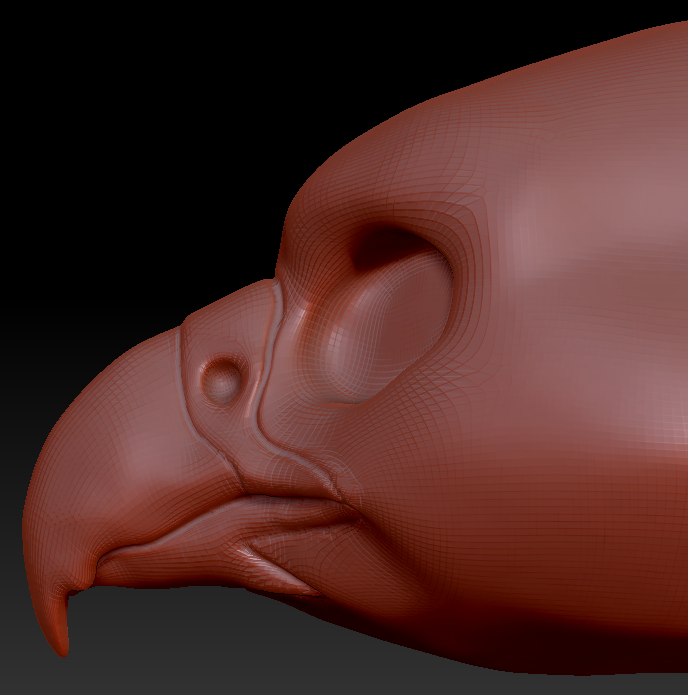 Gender Neutral Falcon Head Base
