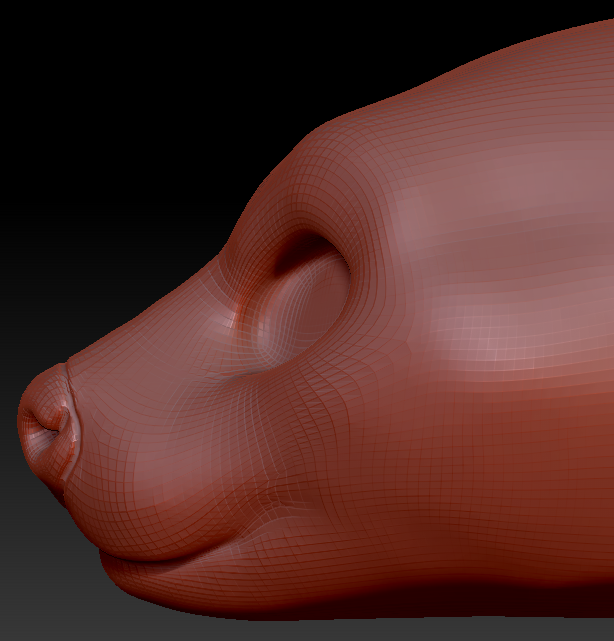Gender Neutral Fossa Head Base