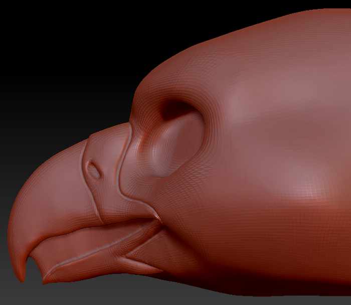 Gender Neutral Gryphon/Eagle Static Jaw Head Base