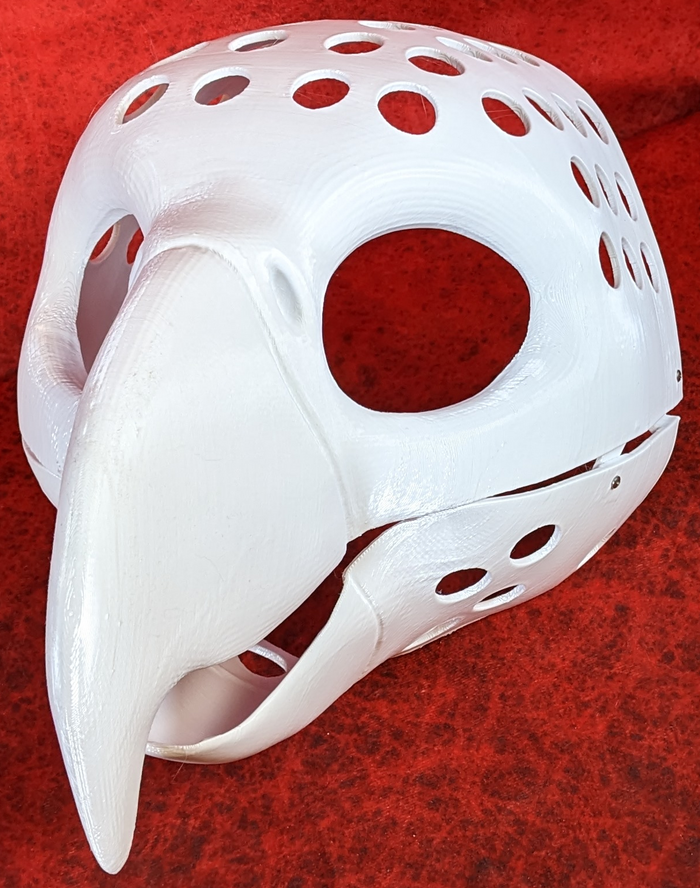 Gender Neutral Macaw Parrot Static Jaw Head Base