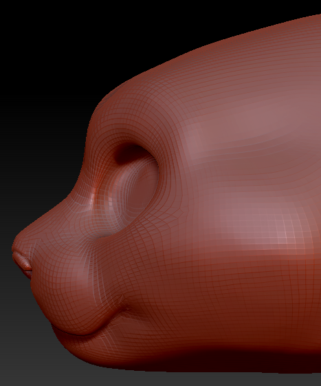 Gender Neutral Pallas Cat Head Base