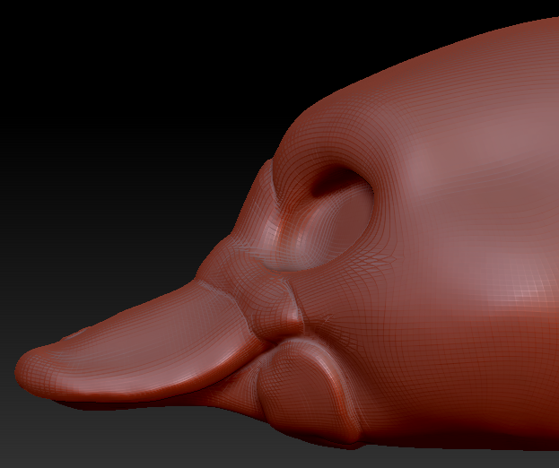 Gender Neutral Platypus Head Base