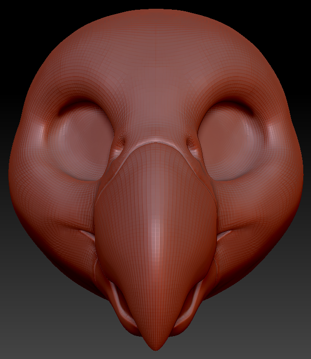 Gender Neutral Quaker Parrot Static Jaw Head Base