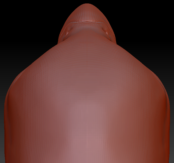Gender Neutral Quaker Parrot Static Jaw Head Base