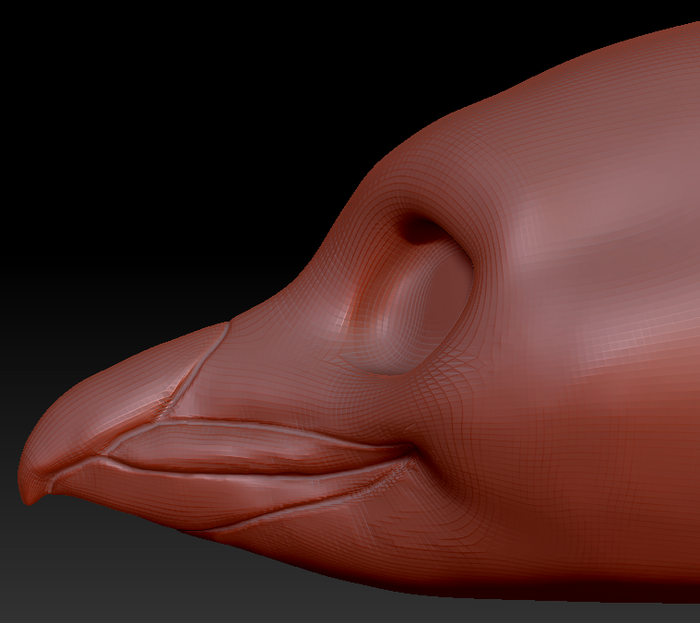 Gender Neutral Rockhopper Penguin Head Base