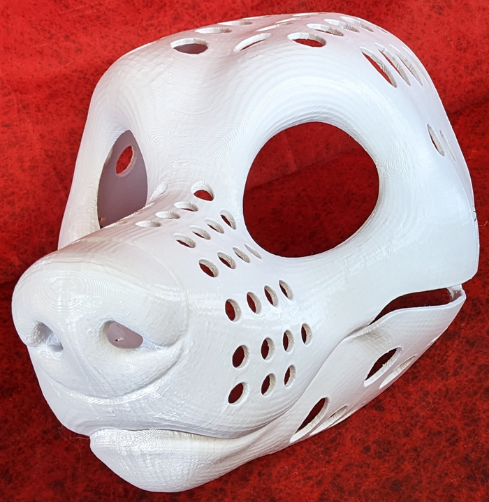 Gender Neutral Toony Bear Head Base Variant 1