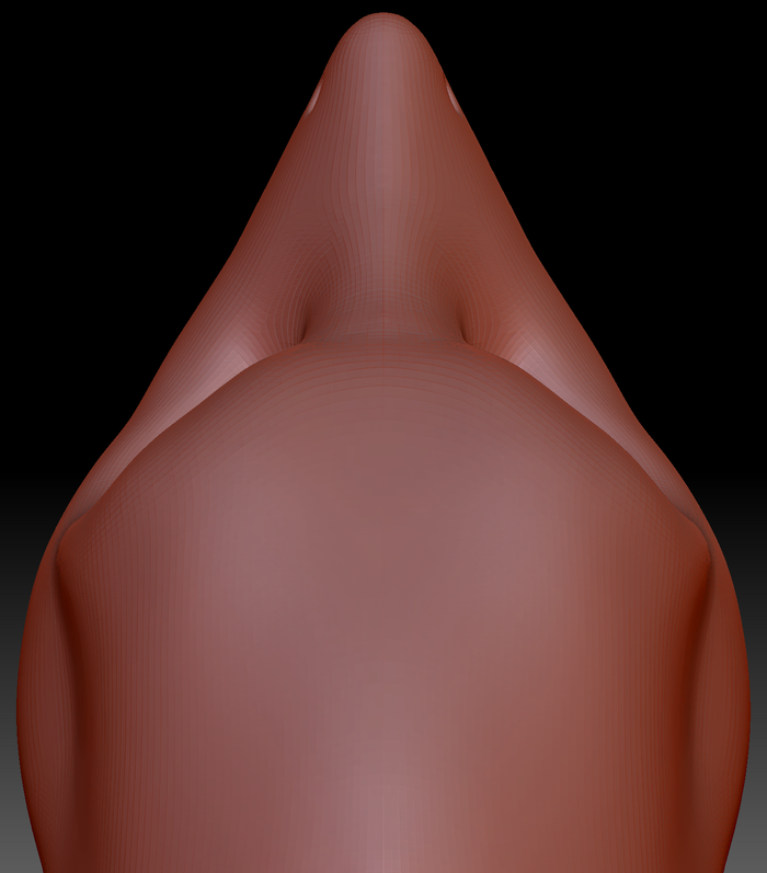 Gender Neutral Toony Shark Static Jaw Head Base Variant 1
