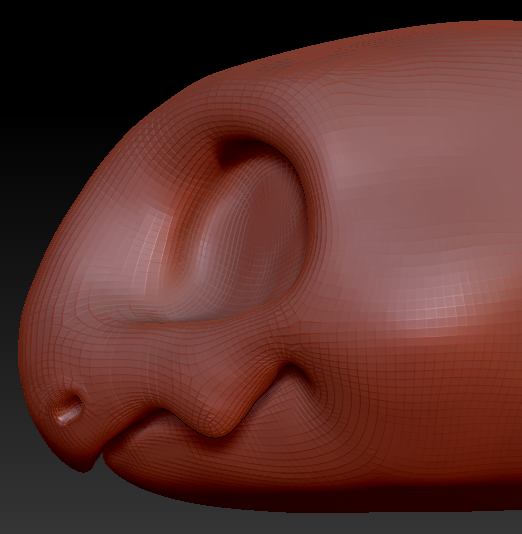 Gender Neutral Toony Turtle Head Base Variant 2