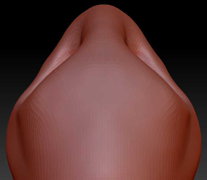 Gender Neutral Toony Turtle Head Base Variant 2