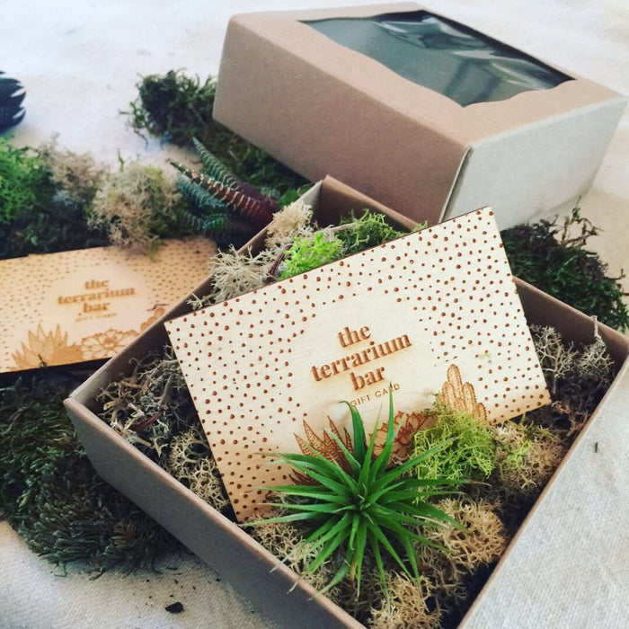 Gift Card + Egift
