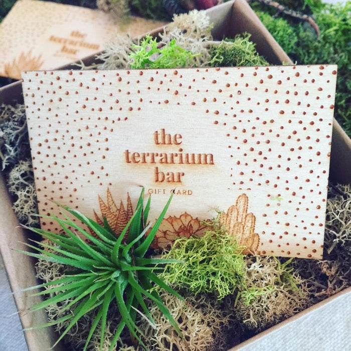 Gift Card + Egift