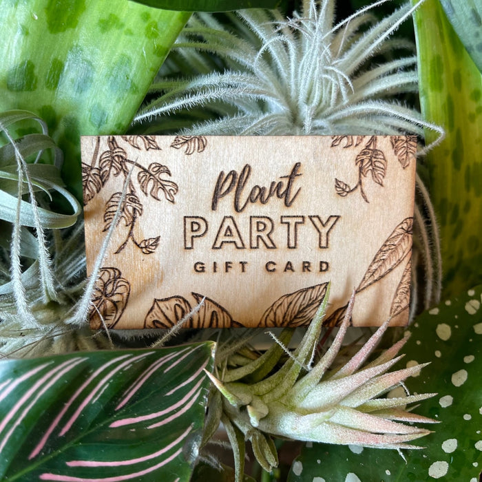 Couples Terrarium Workshop -Birch Gift Card (In-person purchase only)
