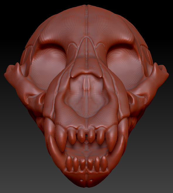 Hyena Skull