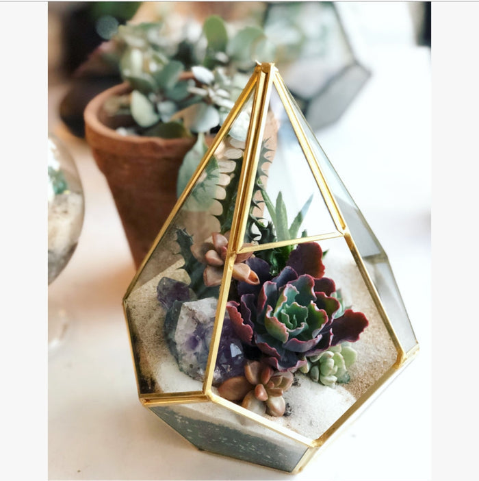 Juno Gold Terrarium