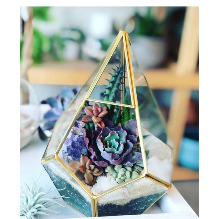 Juno Gold Terrarium