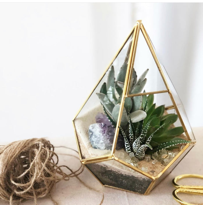 Juno Gold Terrarium