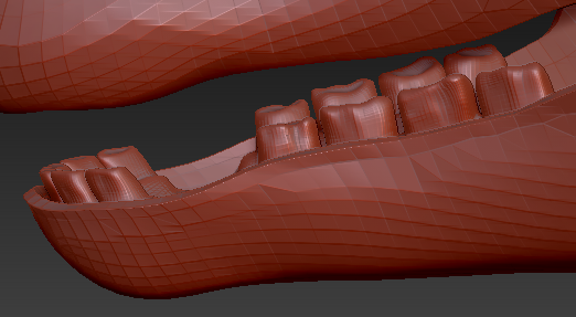 Large Horse Jawset Realistic Style 1