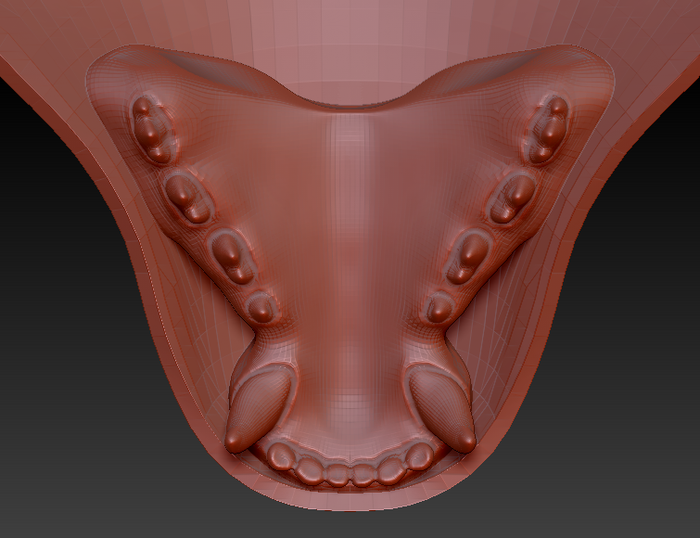 Large Omnivore Realistic Style Jawset